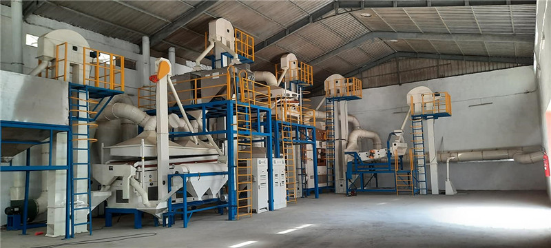 seed bean cleaning plant in Italy (5)